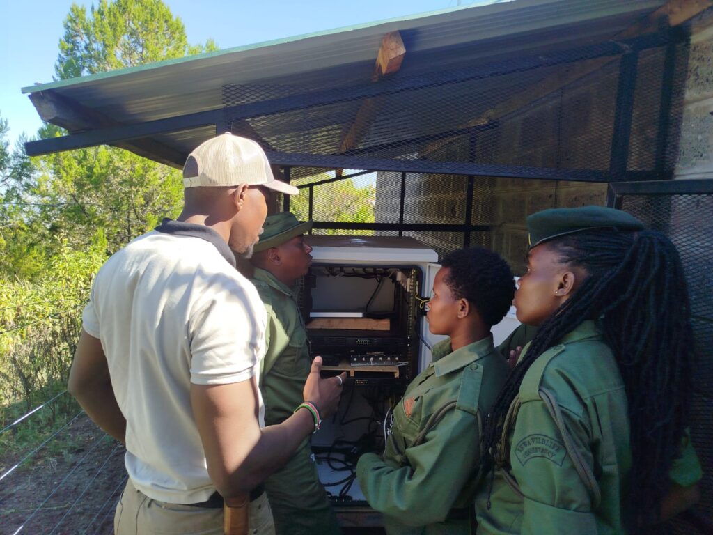 IMG 20250227 WA0016 1